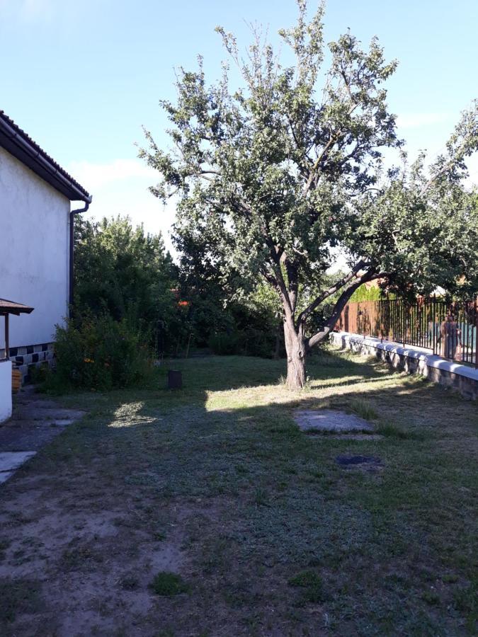 Retrovilla Balatonkenese Dış mekan fotoğraf